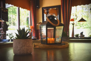 032805B6-68A1-4131-8844-C26B2446A236 't Boskefé Kobus, Zorgvlied, Drenthe